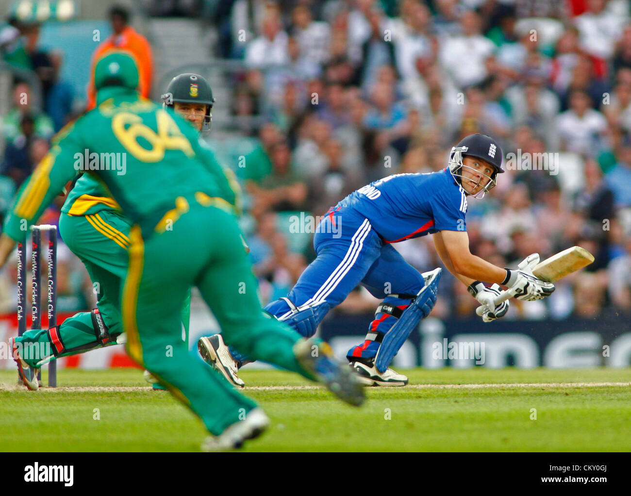31/08/2012 London, England. England's Jonathan Trott during the 3rd Nat West one day international cricket match between  England and South Africa and played at The Kia Oval Cricket Ground: Mandatory credit: Mitchell Gunn Stock Photo
