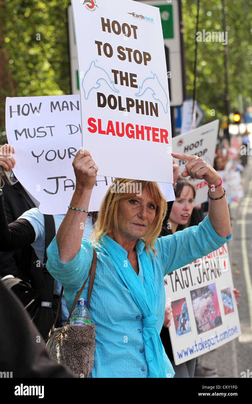 Protesting against Japanese dolphin slaughter - London. Around 50 people gathered outside the Japanese embassy in London today (31.8.12) to protest against the slaughter of dolphins and small whales in Japan. The peaceful protest fights against the start of the annual Taiji dolphin cull as seen in the documentary The Cove which takes place on September 1st. Stock Photo