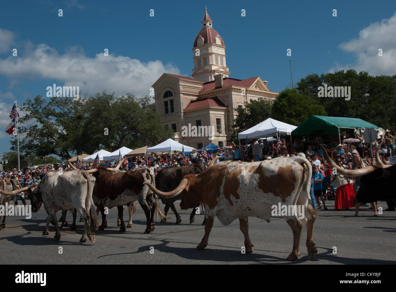 1 September 2012 Bandera, Texas, USA As part of Celebrate Bandera, Texas Longhorns parade down