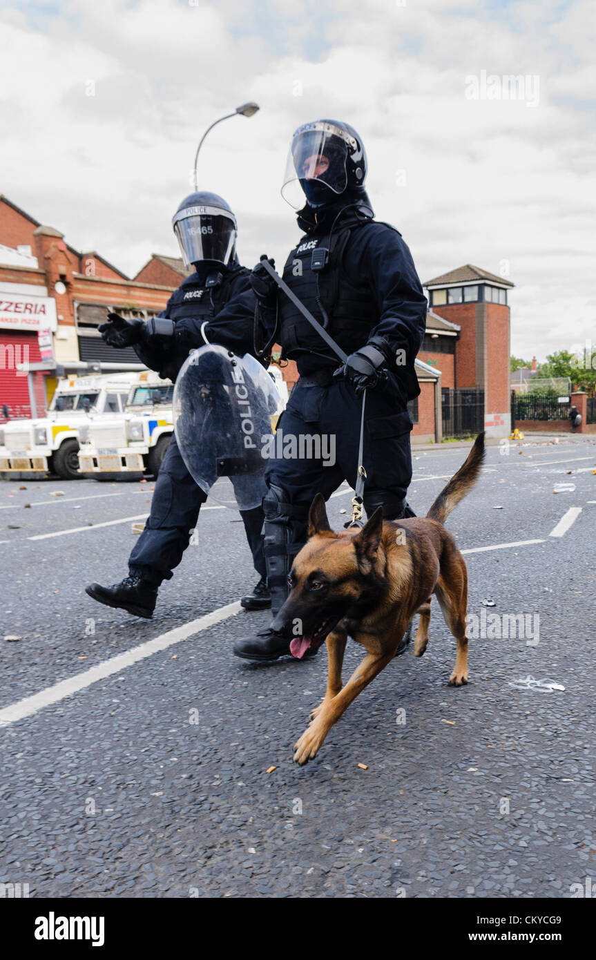 2nd September 2012, Belfast - PSNI deploy dogs for crowd control aver violent attacks from Loyalists, Loyalists were prevented from protesting against a Republican parade in North Belfast to commemorate the anniversary of Henry Joy McCracken's death. Stock Photo