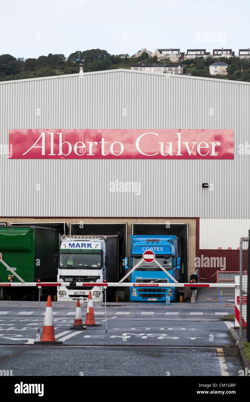 General view of the Alberto Culver factory in Swansea Enterprise park