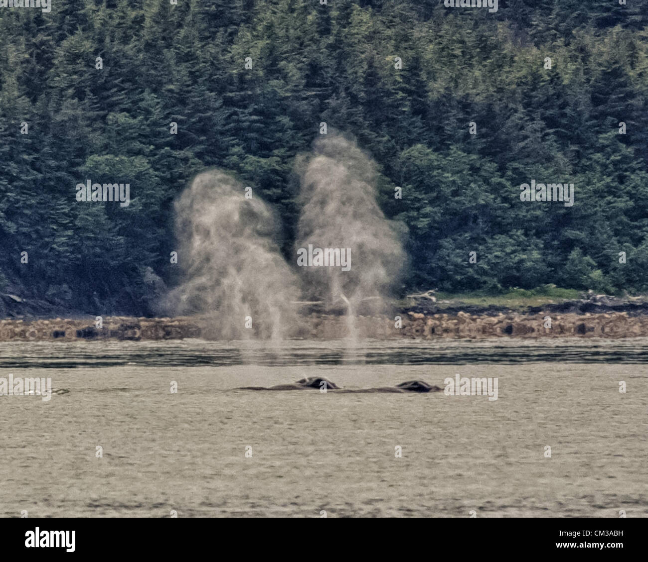 Two Blowholes High Resolution Stock Photography and Images - Alamy