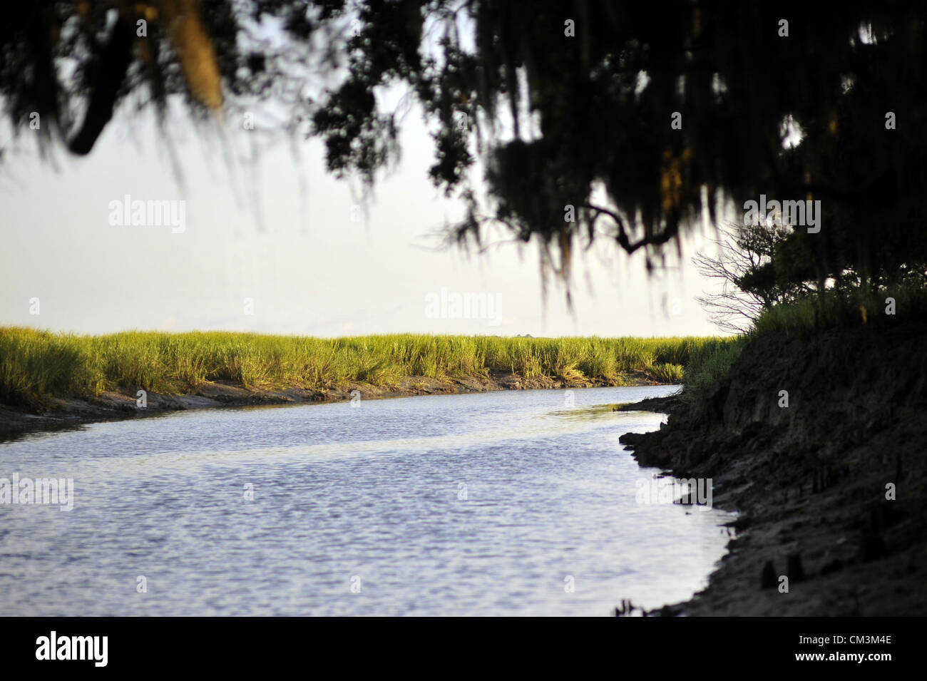July 24, 2012 Sapelo Island, Ga, USA Framed by spanish moss
