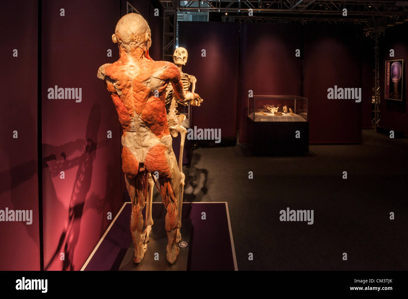Italy Torino Palaisozaki the exhibition The Human Body Exhibition September 28, 2012 at 12 Am .The exhibition opens to the public on 29 September  2012 and ending January 13, 2013.The bodies in the exhibition are human died of natural causes and treated with a special method called plastination. The visitors, thanks to this method of conservation can view all body organs, bones and muscles and all the inside of the body in every detail Stock Photo