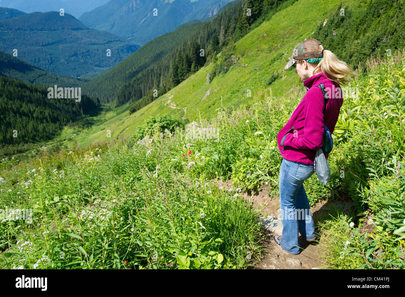 Aug. 30, 2012 Marblemount, Washington, USA August 30, 2012