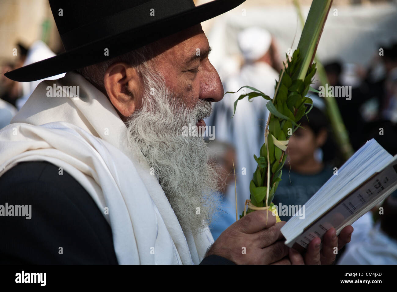 Jerusalem, Israel. 3rd October 2012. Religious Jews hold and shake the
