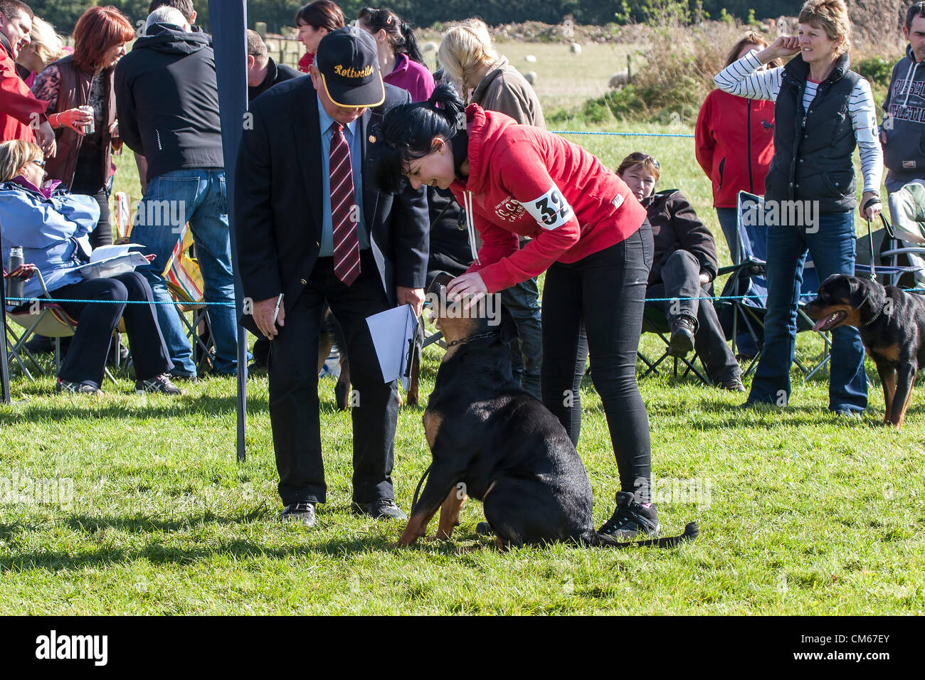 Northamptonshire, U.K. Saturday 14th October 2012. The Dog Centre, Harrington. (BRSDC) British Rottweiler Sporting Dog Club.  Owners and dogs have travelled from all over the U.K. to attend this weekend’s event the first run under German Rules Dog being judged by Herr Dieter Hoffman. Stock Photo