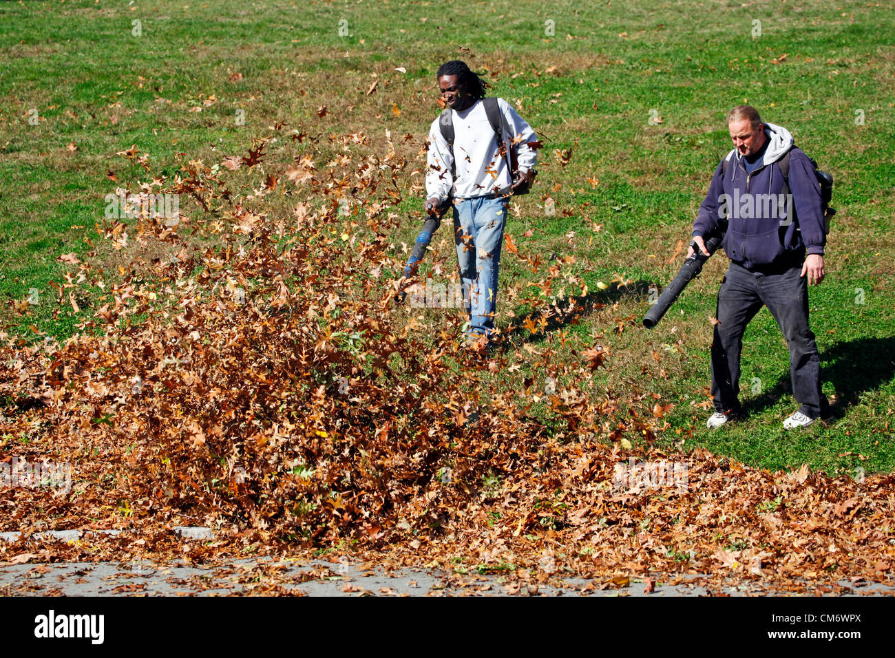 Leaf blowers that pick up leaves deals