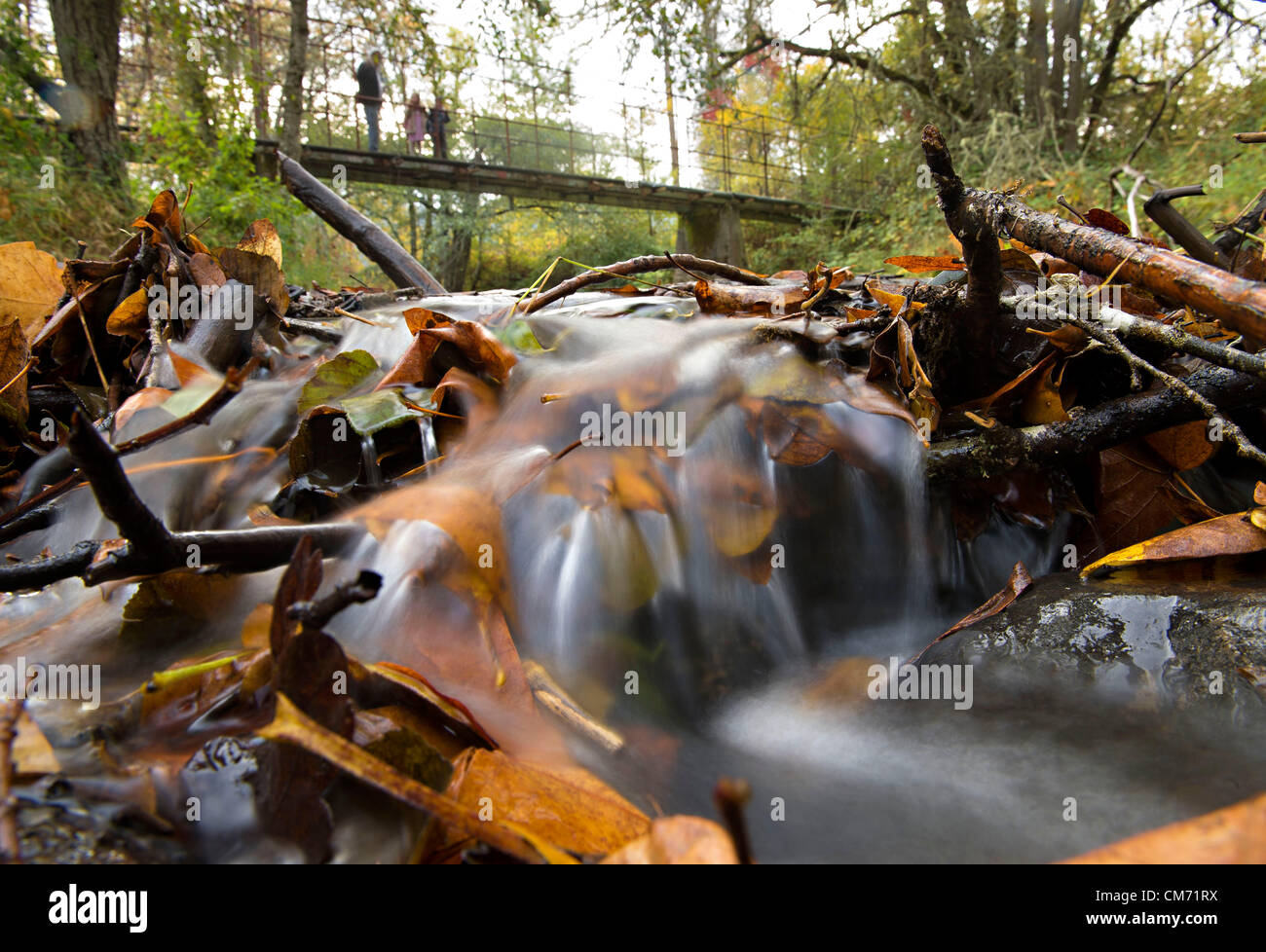 Oct. 19, 2012 Roseburg, Oregon, U.S Water cascades over colorful