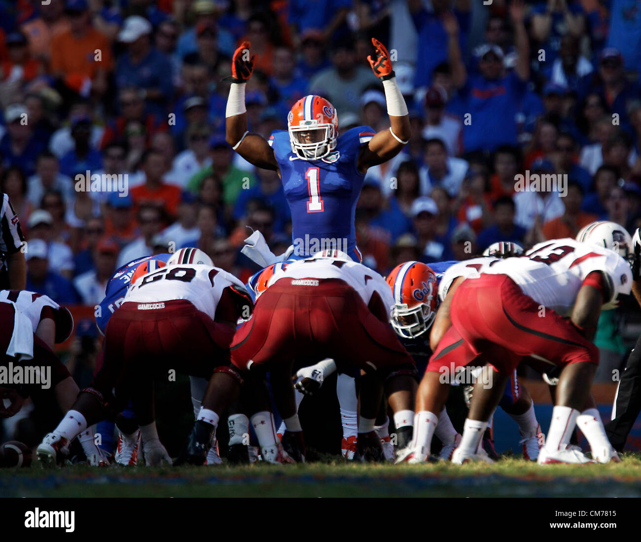Oct. 20, 2012 - Gainesville, Florida, U.S. - Florida Gators linebacker JON BOSTIC (1) pumps up the crowd during the second quarter of the South Carolina Gamecocks at the Florida Gators football game at Ben Hill Griffin Stadium. The Gators defeated the Gamecocks 44-11. (Credit Image: © Will Vragovic/Tampa Bay Times/ZUMAPRESS.com) Stock Photo