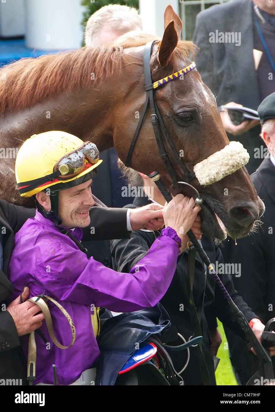 Ascot trainers hotsell 8s