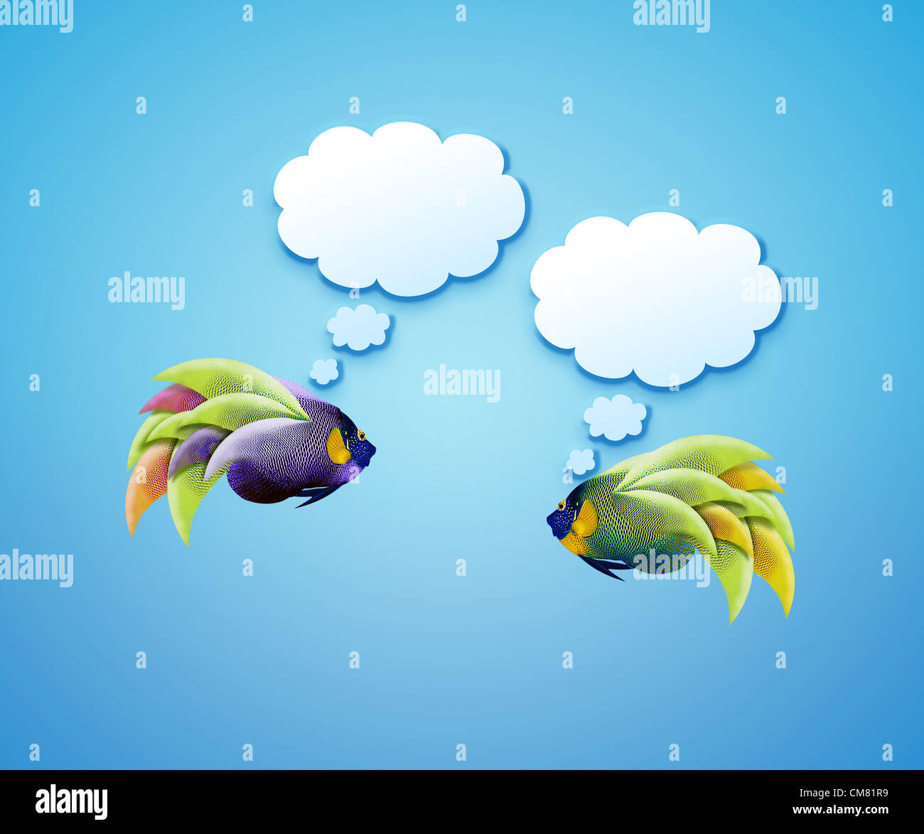 angelfish faces as social network with speech bubbles. Stock Photo
