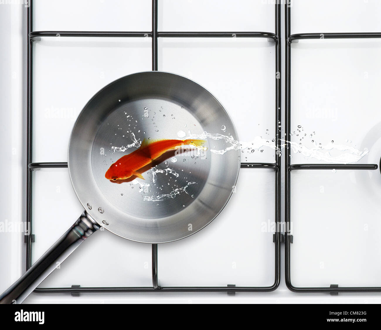 River fish fried in a frying pan Stock Photo - Alamy