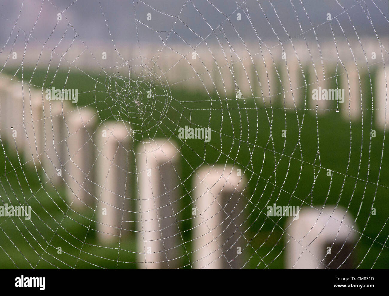 Oct. 25, 2012 - Roseburg, Oregon, U.S - Gravestones stand on a foggy morning, as a dew coated spider web hangs in the fence around the Roseburg National Cemetery in Roseburg.  The cemetery was established in 1897 and is under the care of the United States Veteran's Administration. (Credit Image: © Robin Loznak/ZUMAPRESS.com) Stock Photo