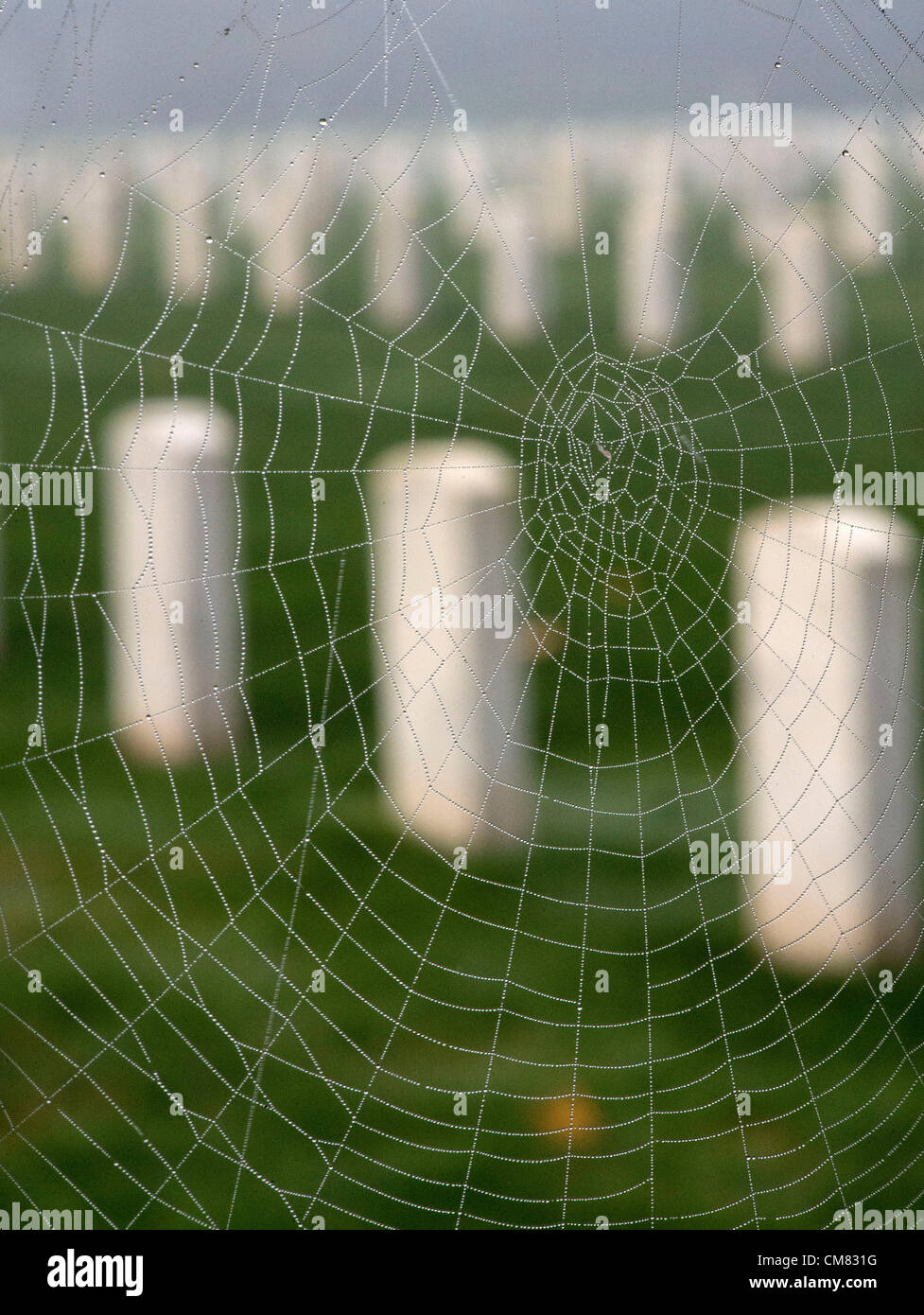 Oct. 25, 2012 - Roseburg, Oregon, U.S - Gravestones stand on a foggy morning, as a dew coated spider web hangs in the fence around the Roseburg National Cemetery in Roseburg.  The cemetery was established in 1897 and is under the care of the United States Veteran's Administration. (Credit Image: © Robin Loznak/ZUMAPRESS.com) Stock Photo