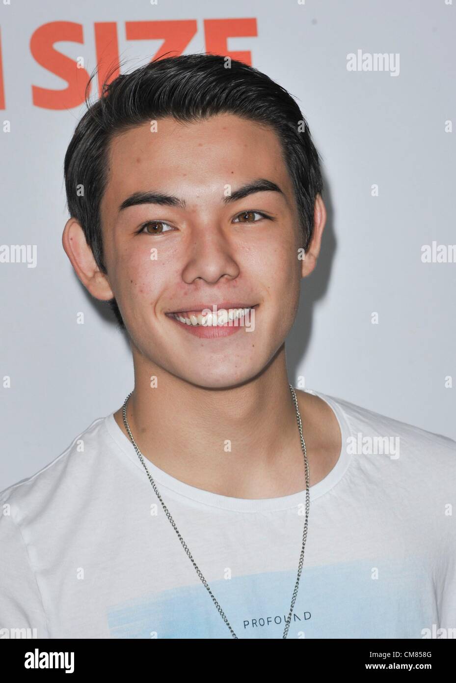 Los Angeles, USA. 25th October 2012. Ryan Potter at arrivals for FUN
