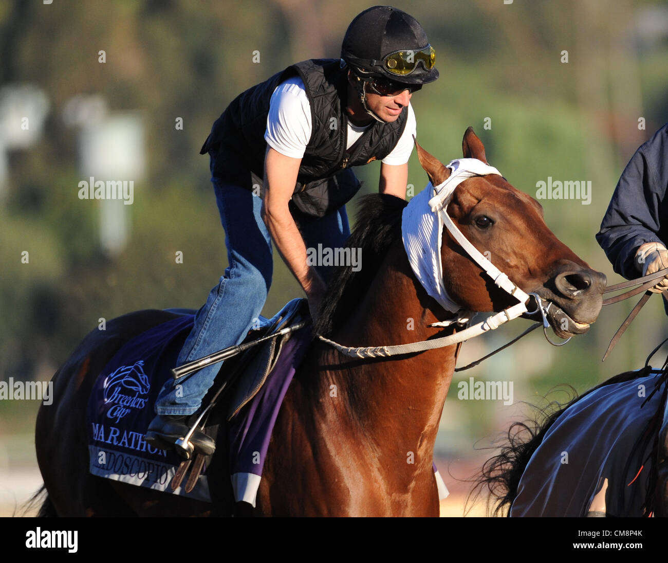 Oct. 29, 2012 - Arcadia, California, U.S. - Calidoscopio, trained by G. Frankel, exercises in preparation for the upcoming Breeders Cup at Santa Anita Park on October 29, 2012. (Credit Image: © Scott Serio/Eclipse/ZUMAPRESS.com) Stock Photo