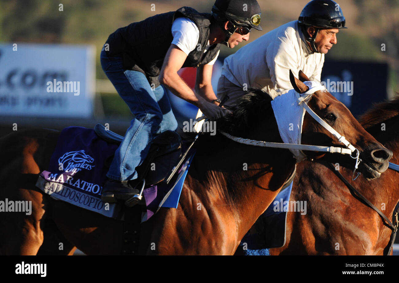 Oct. 29, 2012 - Arcadia, California, U.S. - Calidoscopio, trained by G. Frankel, exercises in preparation for the upcoming Breeders Cup at Santa Anita Park on October 29, 2012. (Credit Image: © Scott Serio/Eclipse/ZUMAPRESS.com) Stock Photo