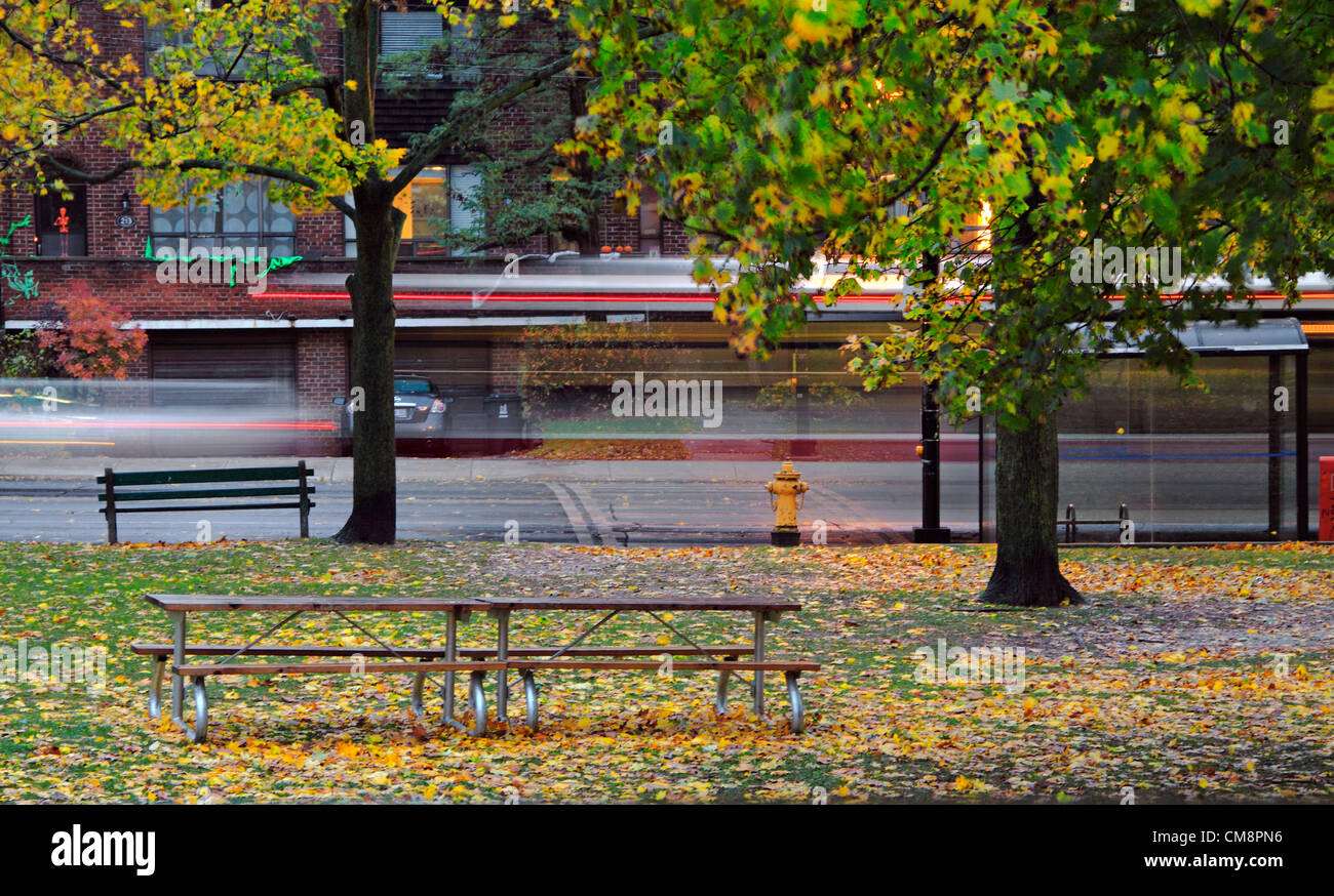 Bus and cars driving through residential street before Hurricane Sandy hits in the evening of October 29, 2012. Homes along the street are decorated for upcoming Halloween. Motion blurs of the trees, leaves and Halloween decorations were due to the high wind. Stock Photo