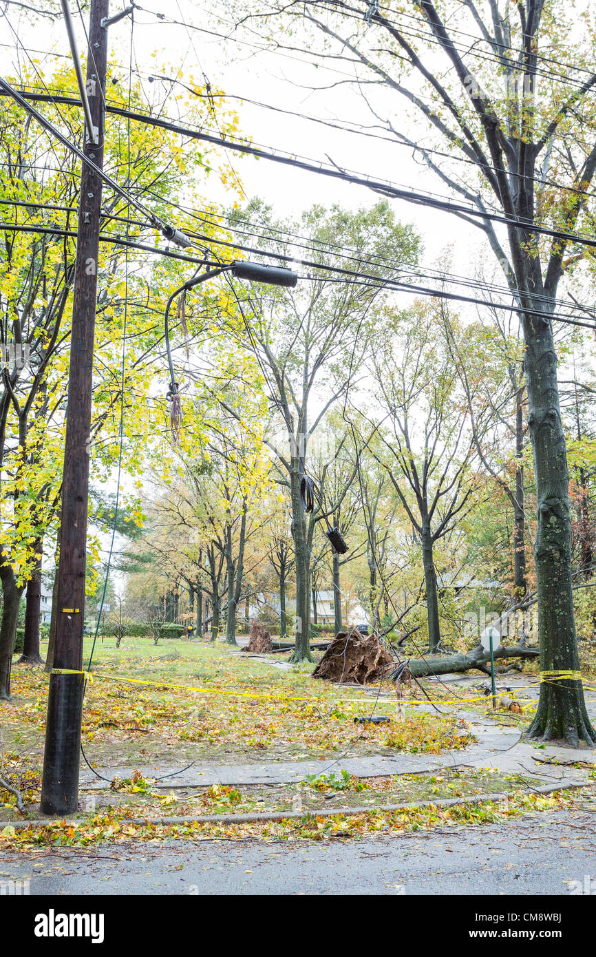 Strong winds of a Hurricane Sandy caused trees to topple bringing down power lines and cutting of power for thousands of people in Northern New Jersey. Stock Photo