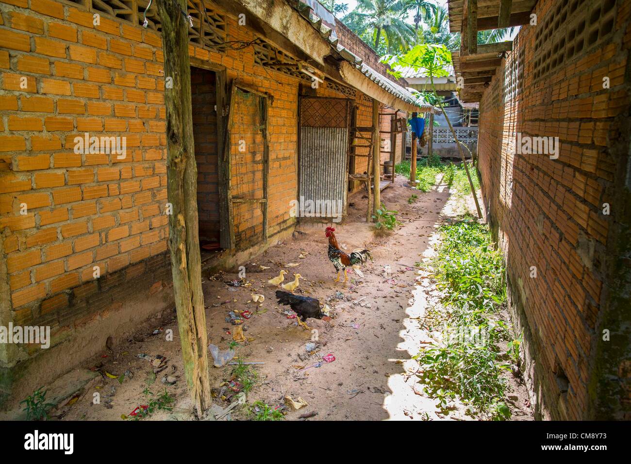 Oct. 29, 2012 - Mayo, Pattani, Thailand - Chickens peck in the dirt between rows of patients' rooms at the Bukit Kong home. The home opened 27 years ago as a Pondo School, or traditional Islamic school, in the Mayo district of Pattani. Shortly after it opened, people asked the headmaster to look after individuals with mental illness. (Credit Image: © Jack Kurtz/ZUMAPRESS.com) Stock Photo