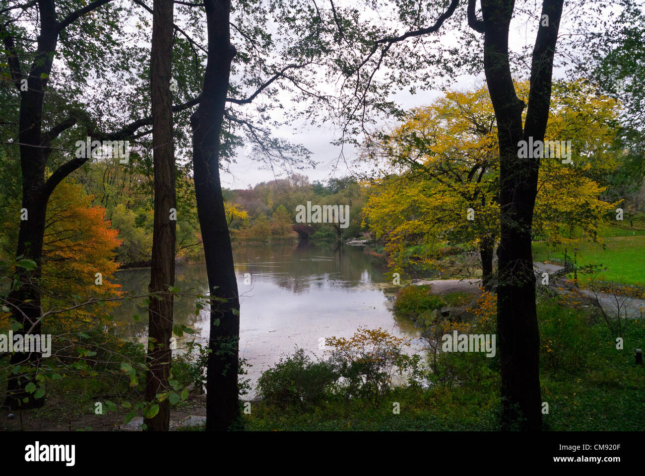 NEW YORK - OCTOBER 30: 2012 Devastation visible in Central Park one day ...