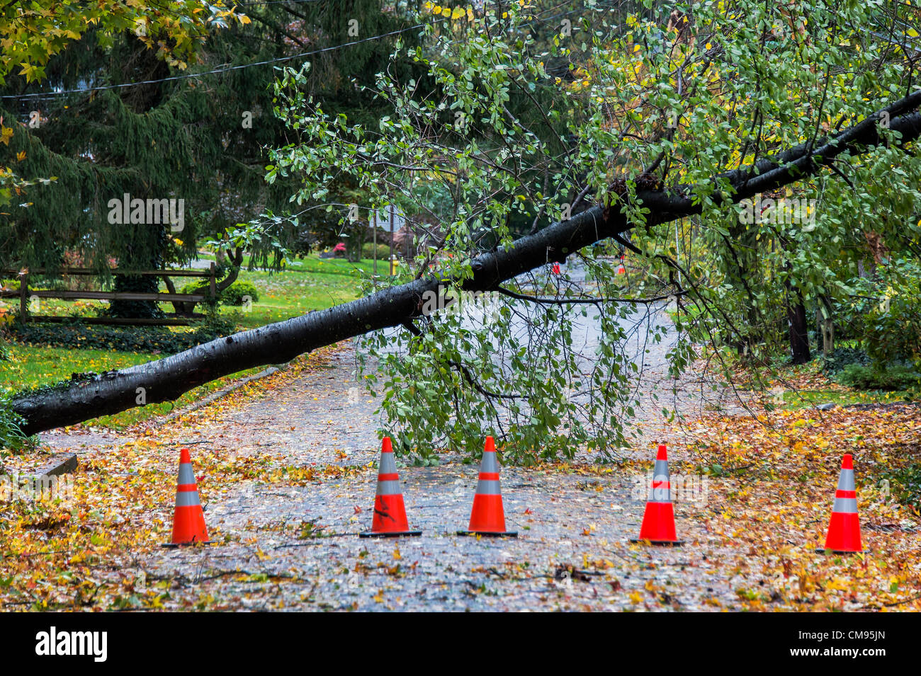 New Jersey, USA. 30th October 2012. Hurricane Sandy tree and power line damage, Moorestown, New Jersey, USA Stock Photo