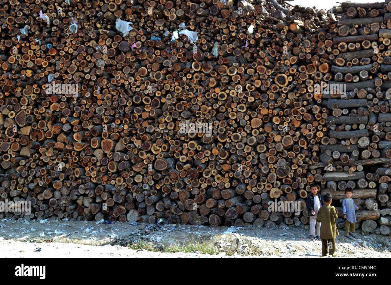Children are playing near axed woods which have been  dumped for use in winter season, in Quetta on Thursday, November 01, 2012. Stock Photo