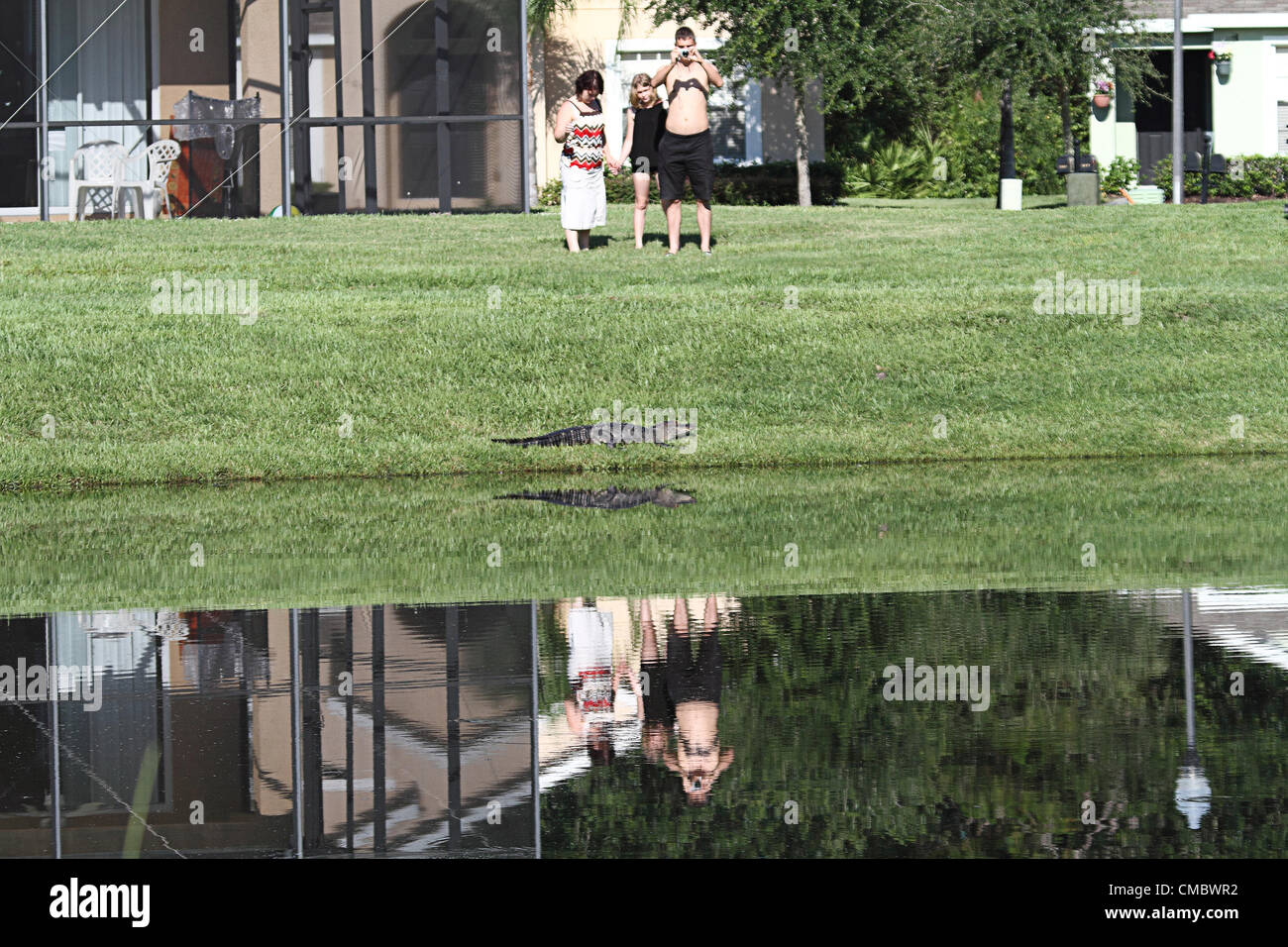 27th June 20121 A small alligator close to rental homes in Florida