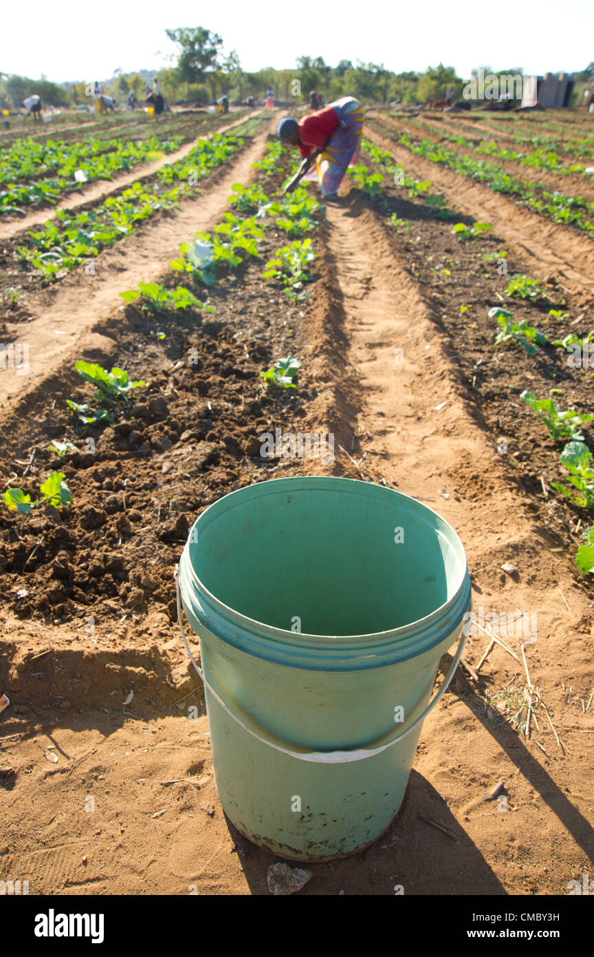 Pump buckets hires stock photography and images Alamy