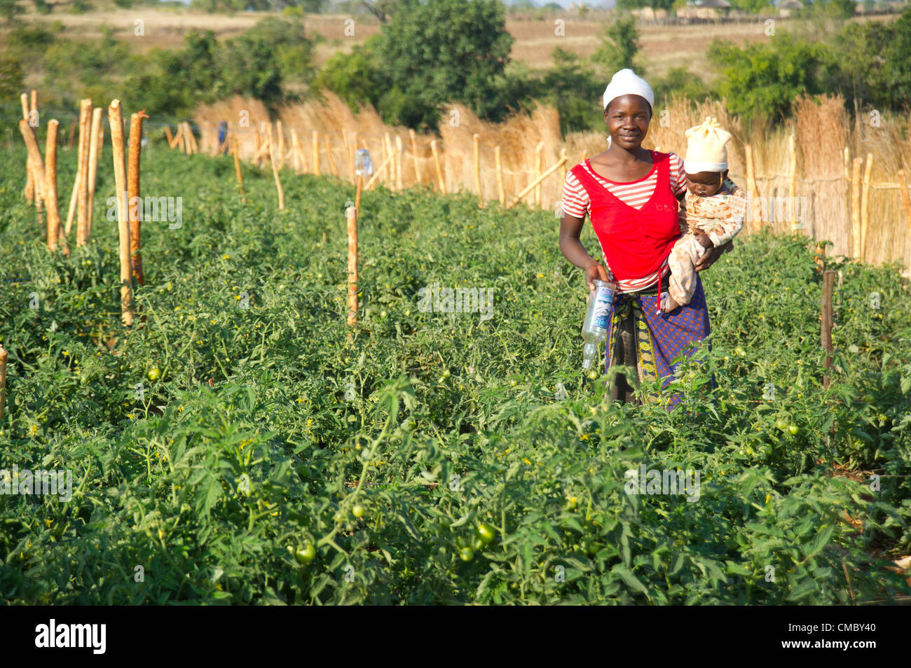 Zimbabwe Farming High Resolution Stock Photography and Images - Alamy