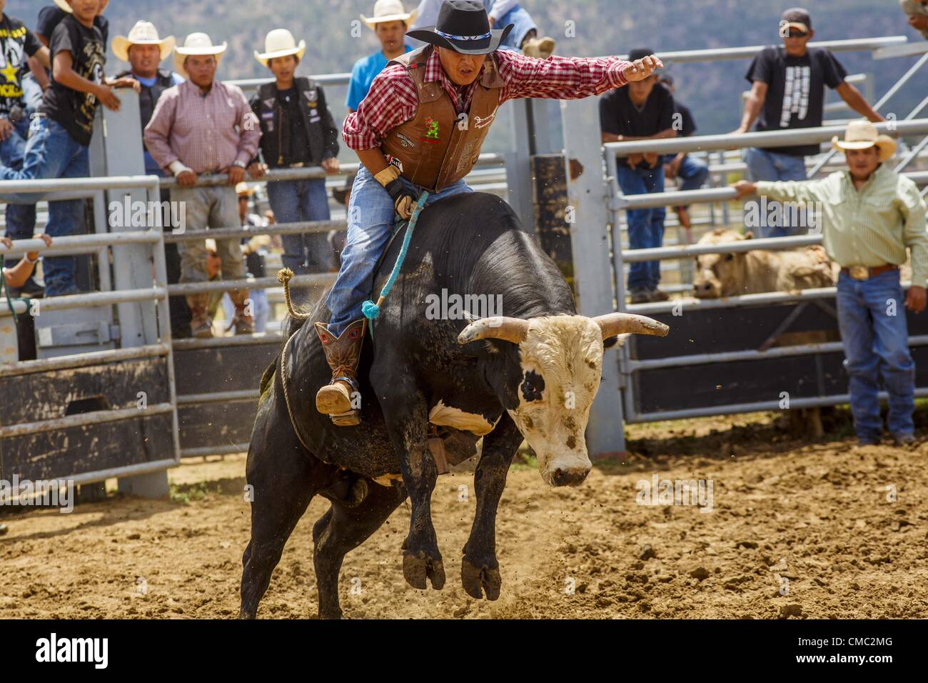 July 14, 2012 - Oak Springs, Arizona, U.S - A Navajo cowboy bucks out a ...