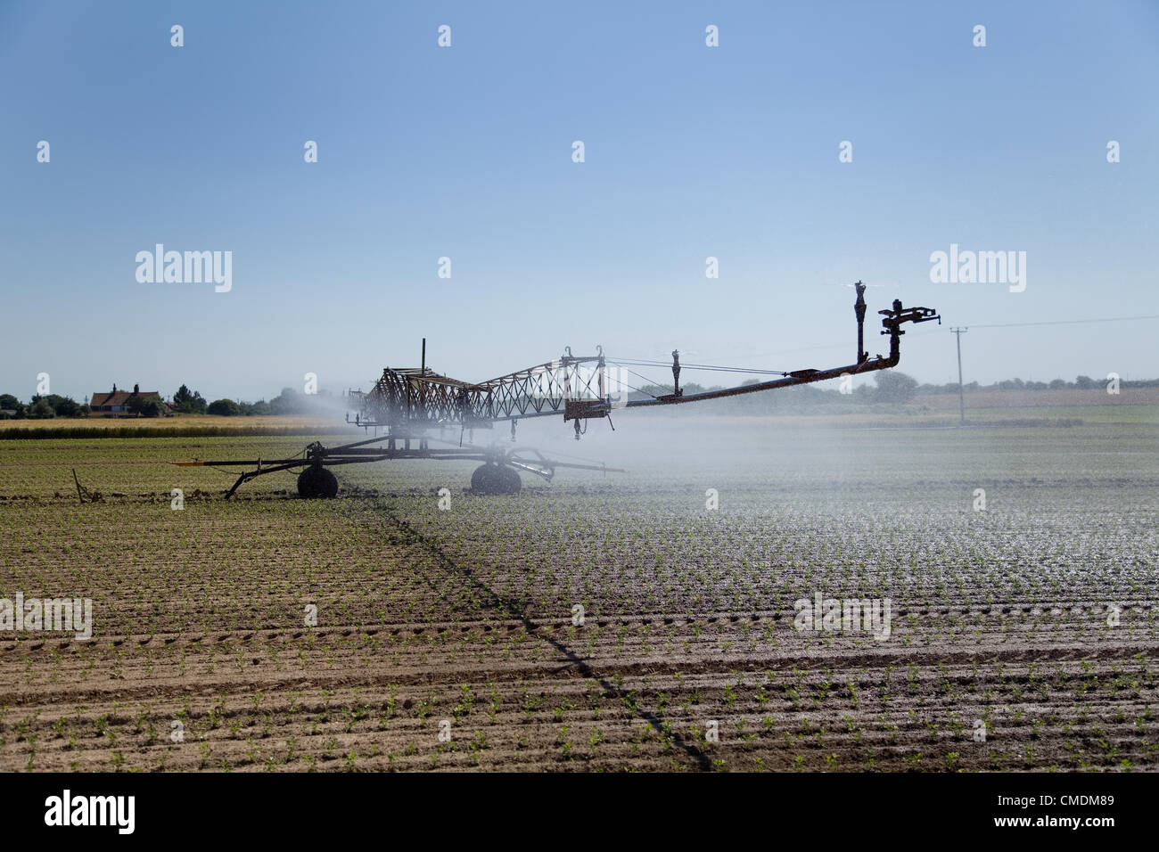 Field sprinkler system, irrigating the young crop, set against a blue