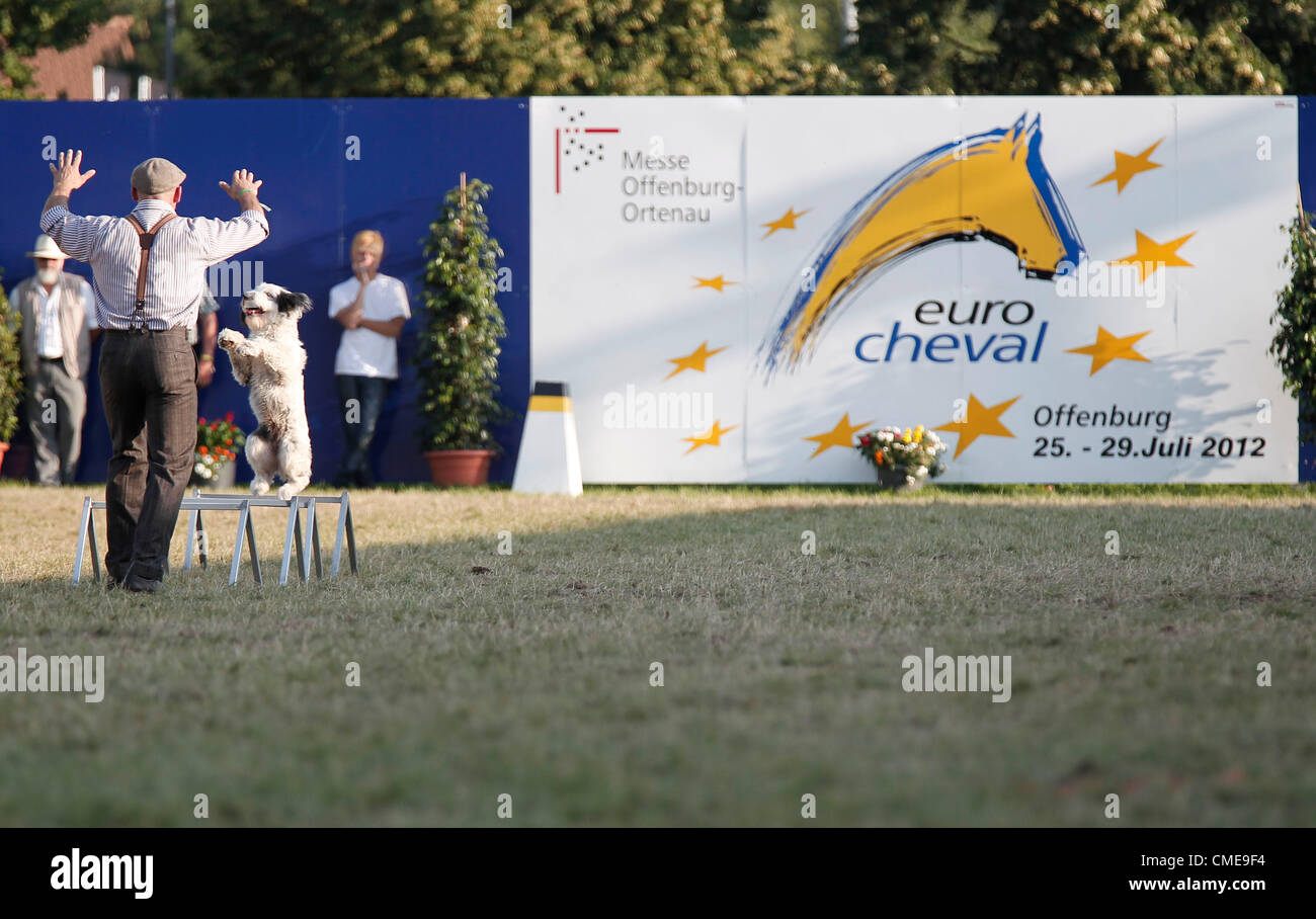 Hund Pferd Stock Photos Hund Pferd Stock Images Alamy