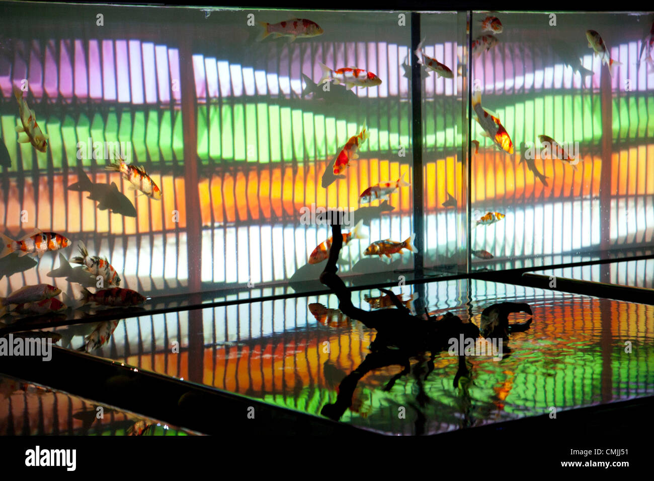 August 17 2012, Tokyo, Japan The Art Aquarium Exhibition at