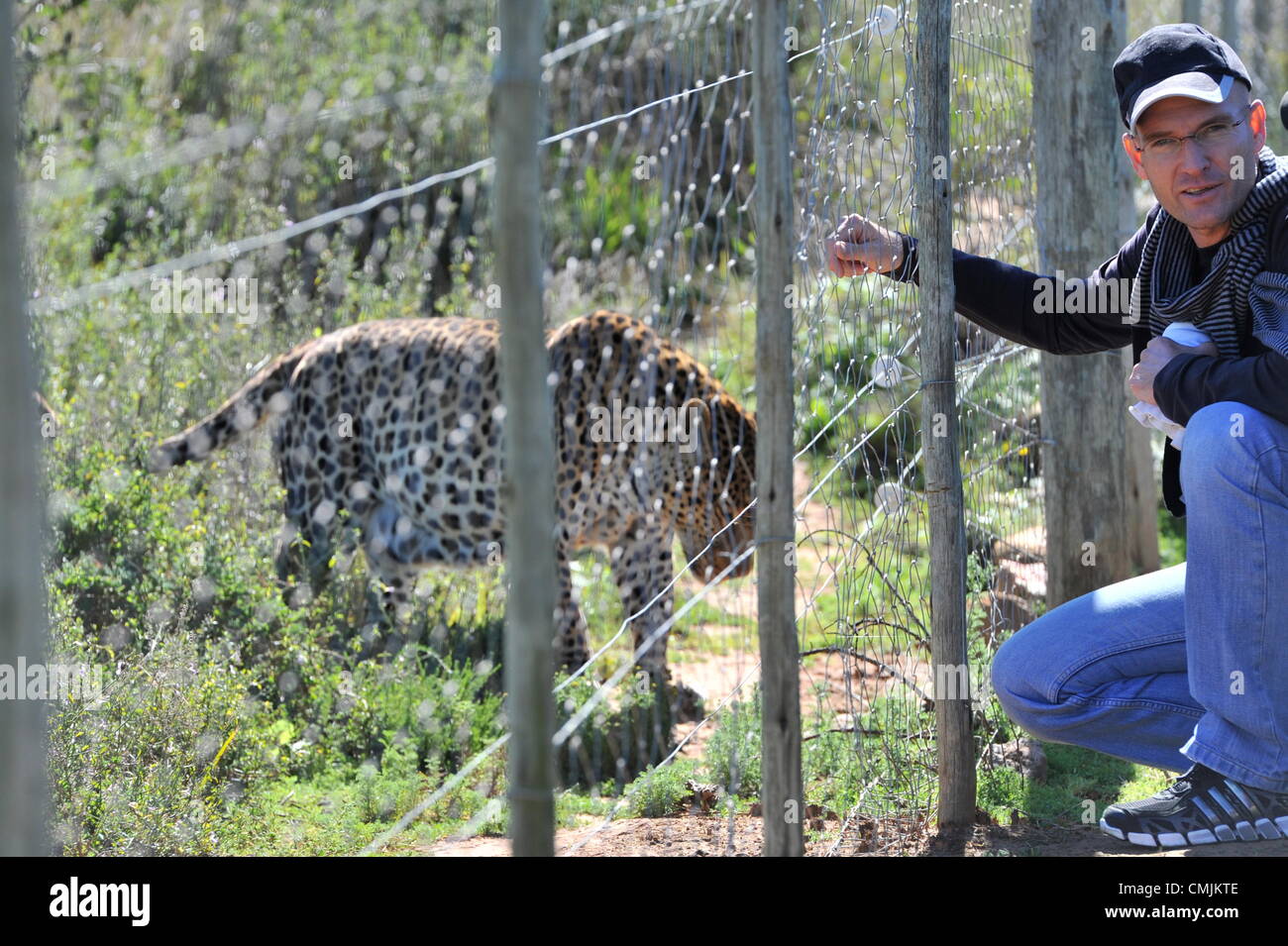 16th Aug 2012. EASTERN CAPE, SOUTH AFRICA: Alberto Lena and Kuma the  leopard reunite on August 16, 2012 at the Shamwari Game Reserve in Eastern  Cape, South Africa thirteen years after Lena