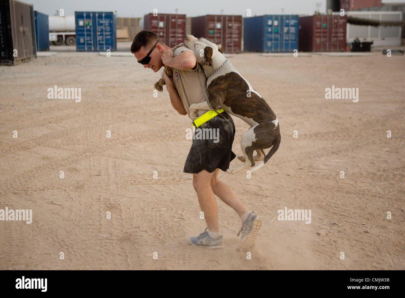 Aug. 04, 2012 - Zharay District, Kandahar Province, Afghanistan - TEDD handler SPC. ALEXANDER REIMER, of the 4th Brigade Combat Team, 82nd Airborne Division, exercises with his dog Howard at FOB Pasab. The 82nd Airborne Division's 4th Brigade Combat Team has employed a unique tactic against the increasing improvised explosive device threat in Afghanistan, Tactical Explosive Detection Dogs. The TEDD teams are sent into the field to accompany foot patrols where they are effective in detecting potential IED threats. Unlike traditional Military Working Dog teams, which the Army has used in the pas Stock Photo