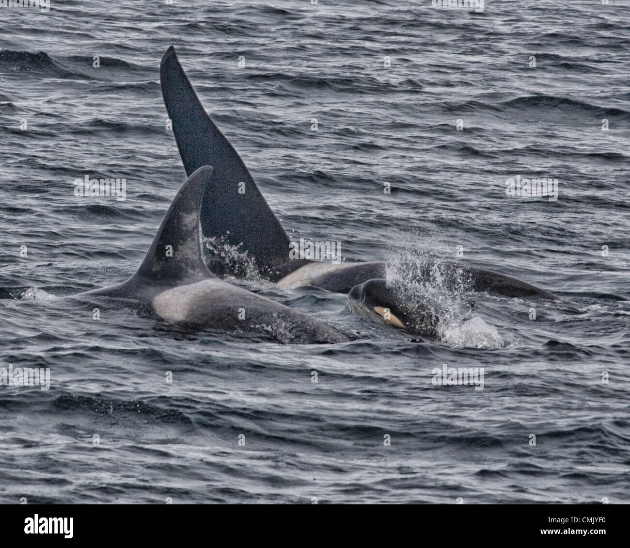July 2012 alaska us crescent shaped hi-res stock photography and images ...