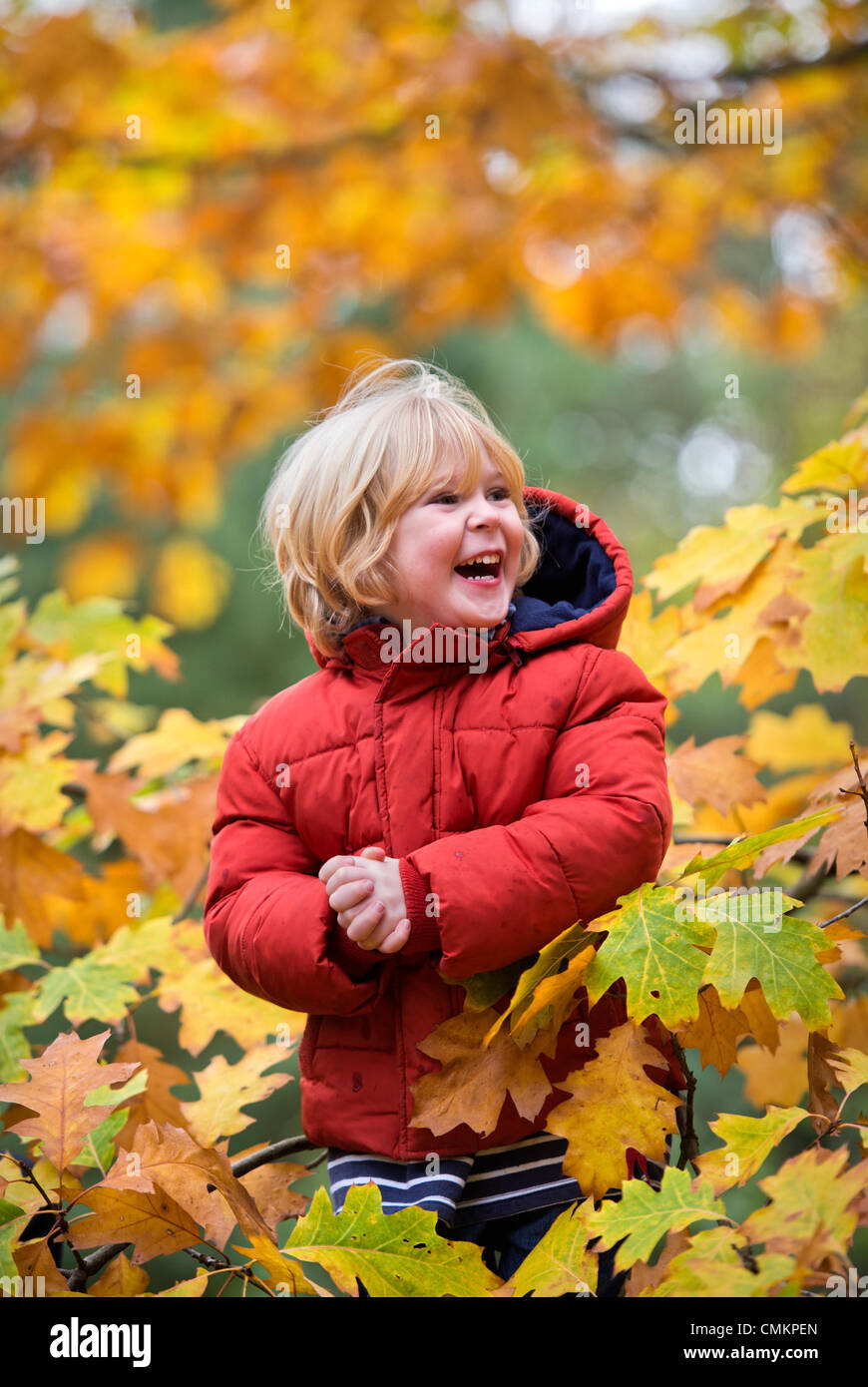 A three year old boy playing amongst the leaves at Westonbirt Arboretum Credit Adrian Sherratt