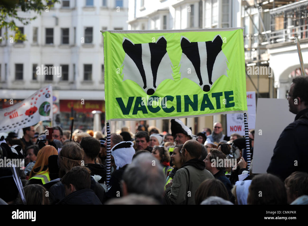 Brighton, Sussex, UK. 3rd Nov, 2013. Protesters against the government badger cull in Britain gather in Brighton Stock Photo