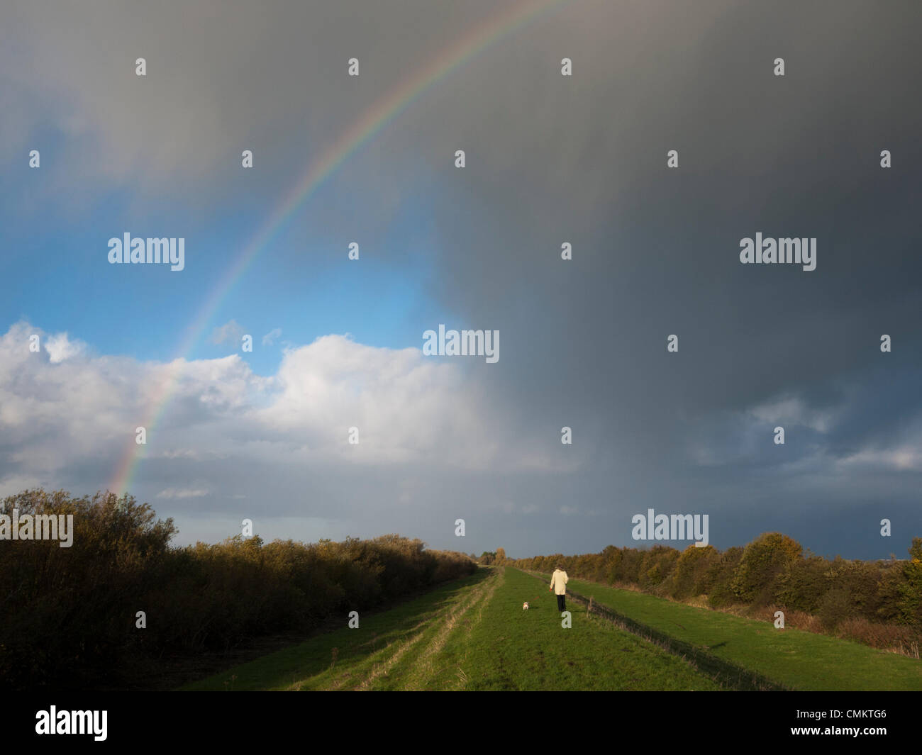 Over, Cambridgeshire, UK. 3rd Nov, 2013. A woman walks a dog under stormy Fen skies and a rainbow on the flood banks at Over in Cambridgeshire UK  3rd November 2013. It was a blustery but sunny day with occasional showers, dramatic under the wide open Fen skies. Credit Julian Eales/Alamy Live News Stock Photo