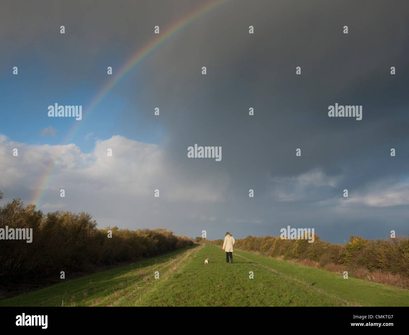 Over, Cambridgeshire, UK. 3rd Nov, 2013. A woman walks a dog under stormy Fen skies and a rainbow on the flood banks at Over in Cambridgeshire UK  3rd November 2013. It was a blustery but sunny day with occasional showers, dramatic under the wide open Fen skies. Credit Julian Eales/Alamy Live News Stock Photo
