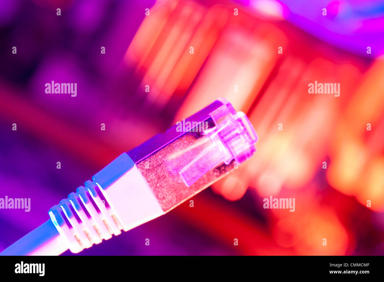 Germany/Brandenburg/Illustration: Internet connection, DSL/Lan-cable at ...