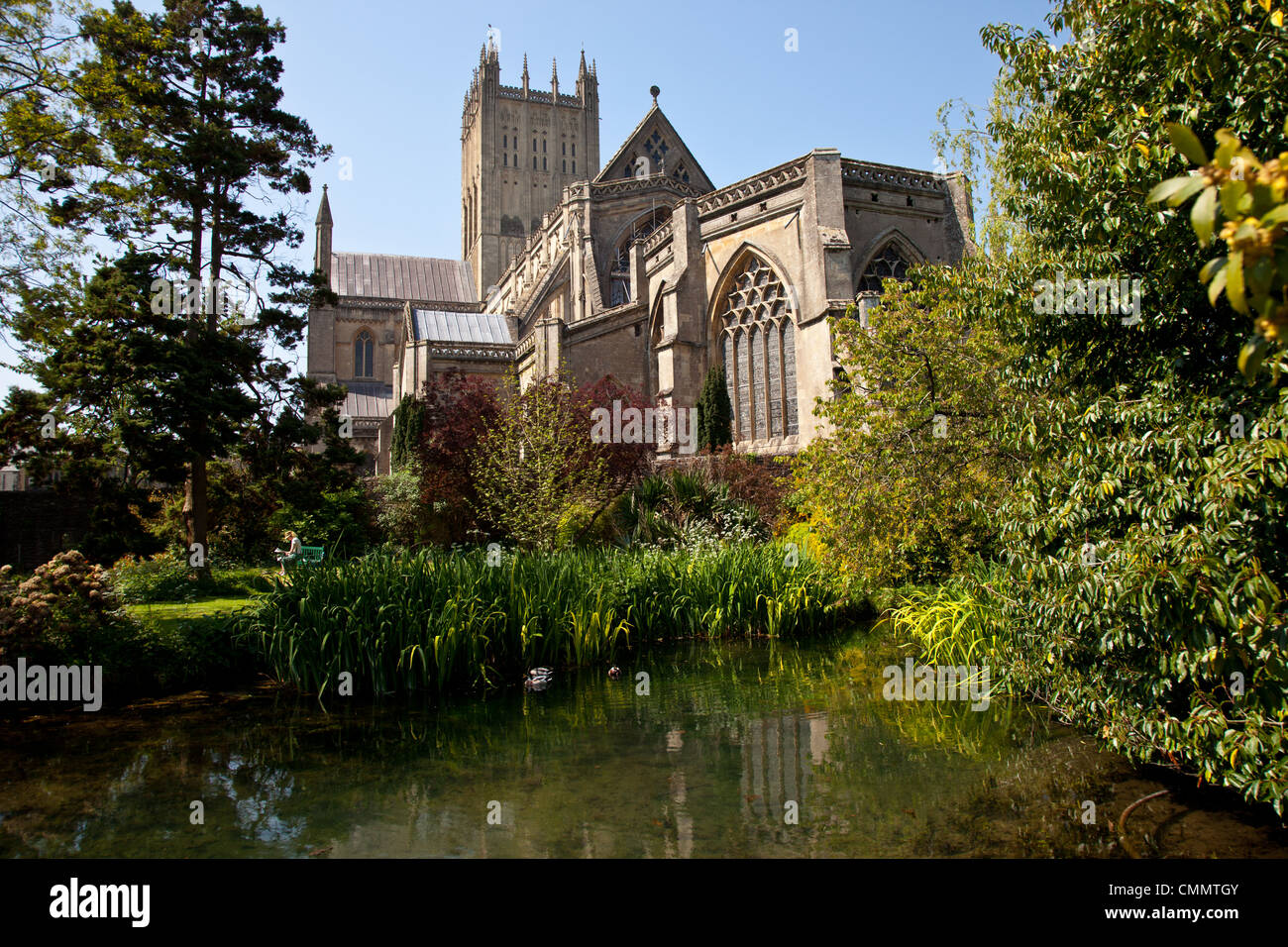 natural fed spring pond at the bishops palace,wells cathedral,wells ...