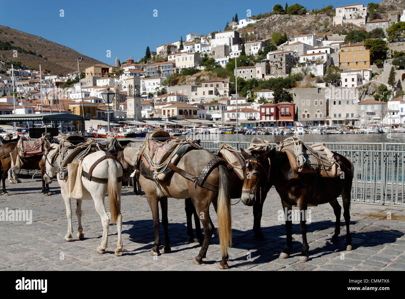Hydra. Greece. View of tasselled donkeys which are Hydra’s best form of transport waiting patiently for their next journey Stock Photo