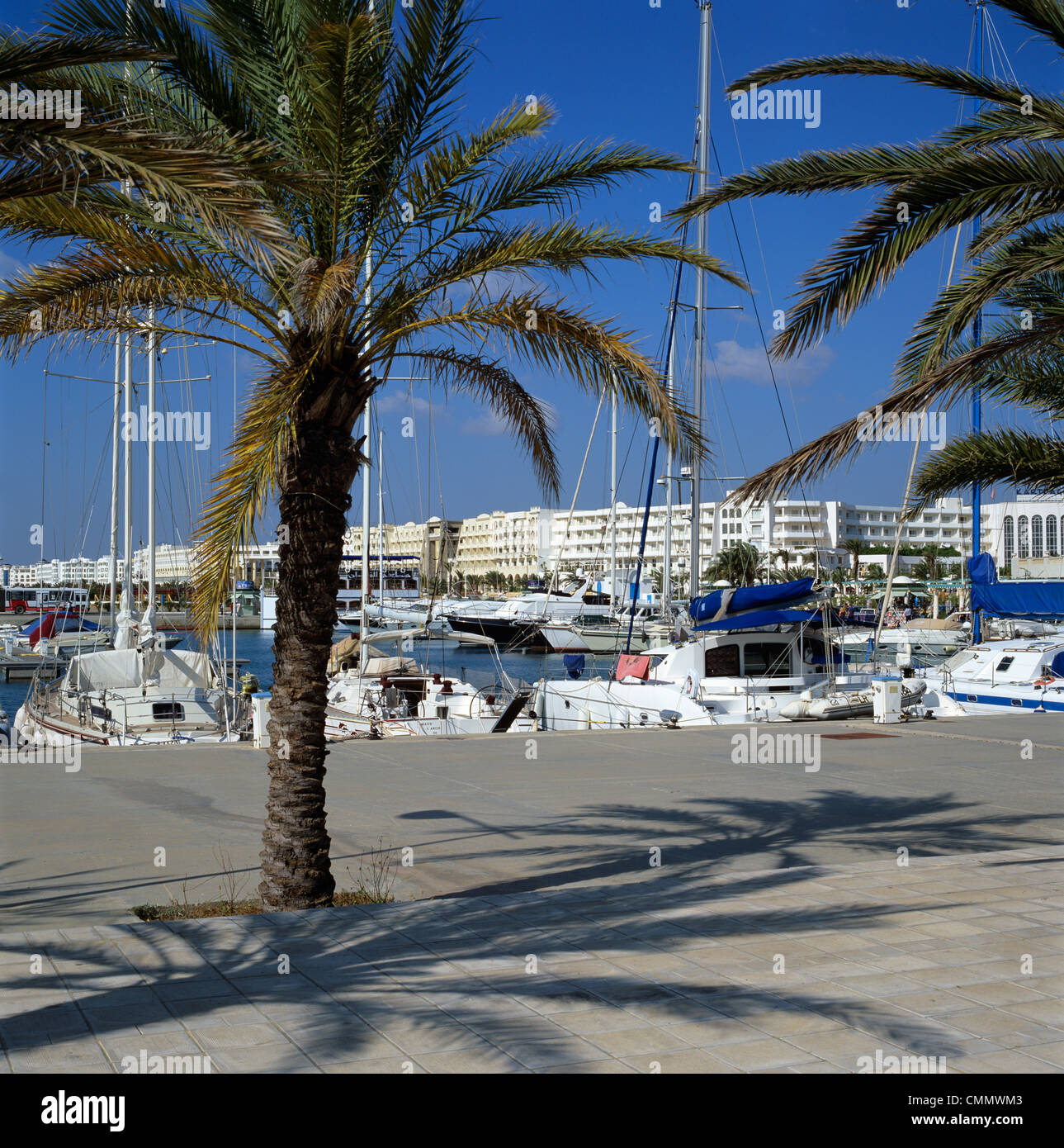 The marina, Yasmine Hammamet, Cap Bon, Tunisia, North Africa, Africa Stock Photo