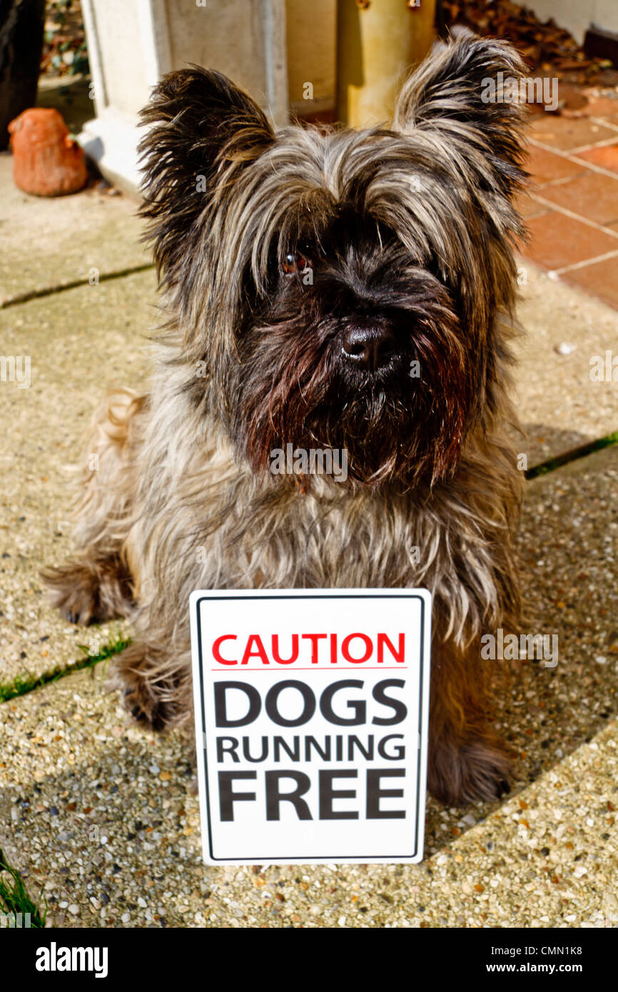 Natural warning signal hi res stock photography and images Alamy