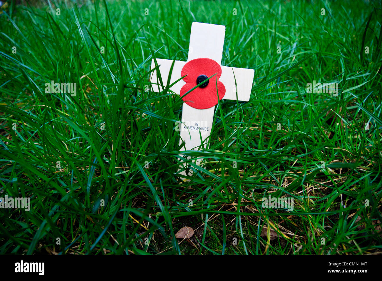Wooden remembrance cross with poppy, placed in a grass covered soil Stock Photo