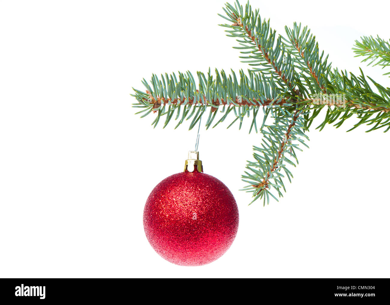 red christmas ball hanging from tree isolated on white background Stock ...