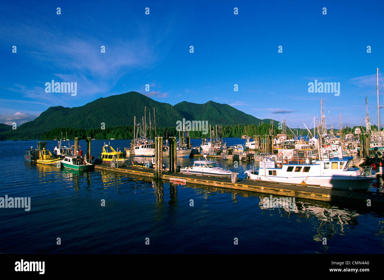 Tofino Harbour Docks, Tofino, Vancouver Island, British Columbia